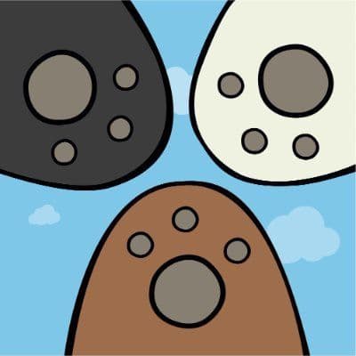 Jungle Bera Whitelist Raffle